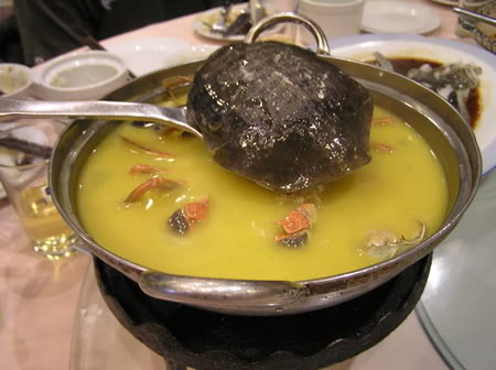 turtle-soup5.jpg