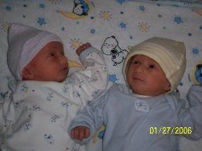 Twins012706b.jpg