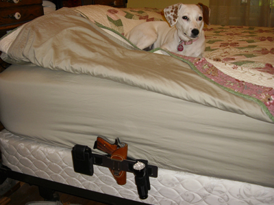 TWS-Bed_PPK-S_flashlight_cell_dog_400.jpg