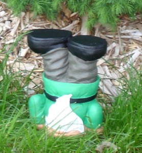 upside down gnome.jpg