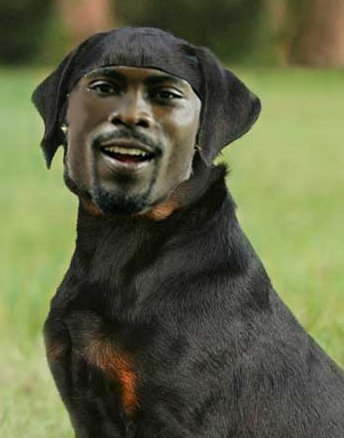 vick-dog.jpg