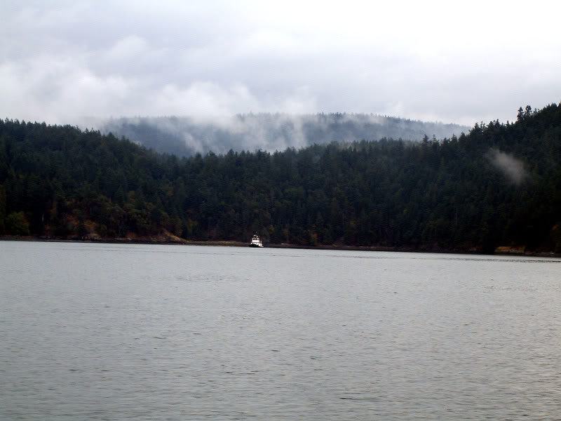 VicTrip06004a.jpg