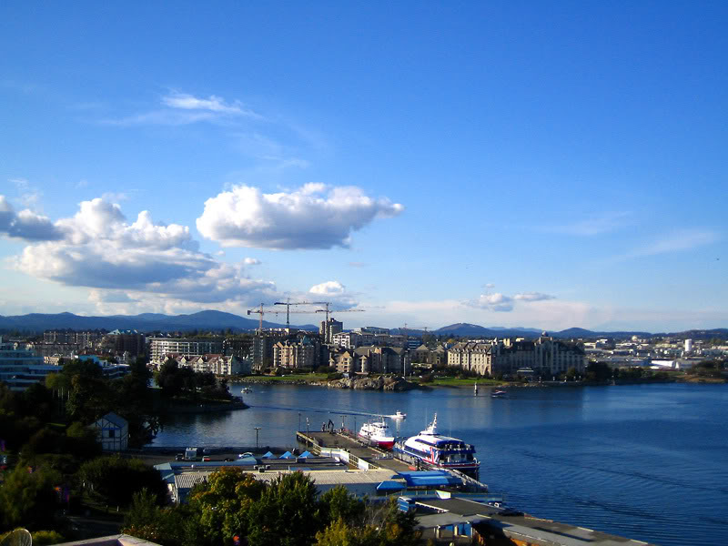 VicTrip06015.jpg