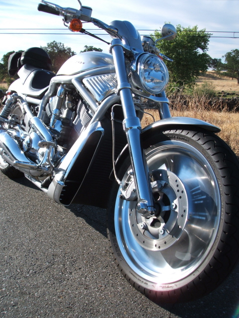 vrod 038b.jpg