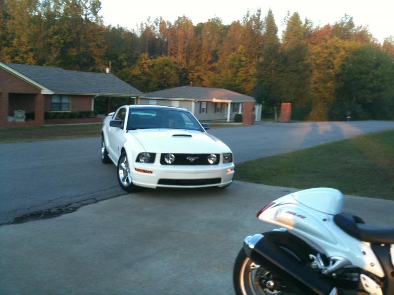 white stang.jpg