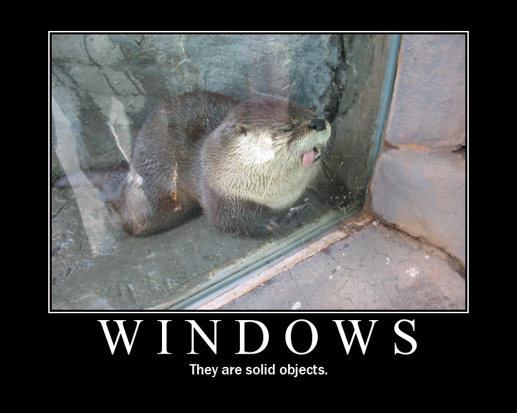 Window%20Licker.jpg