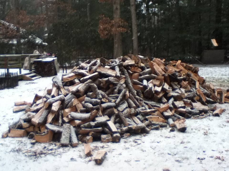 Wood pile.jpg