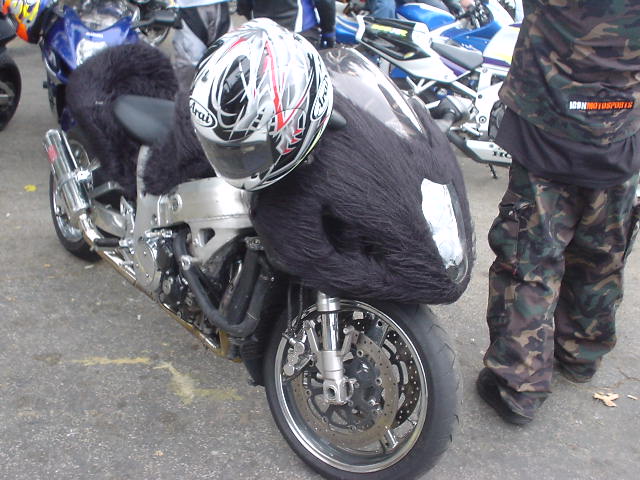 Wooly_Busa.JPG