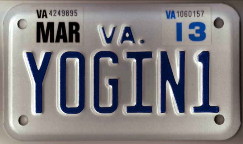 Yogini license plate.jpg