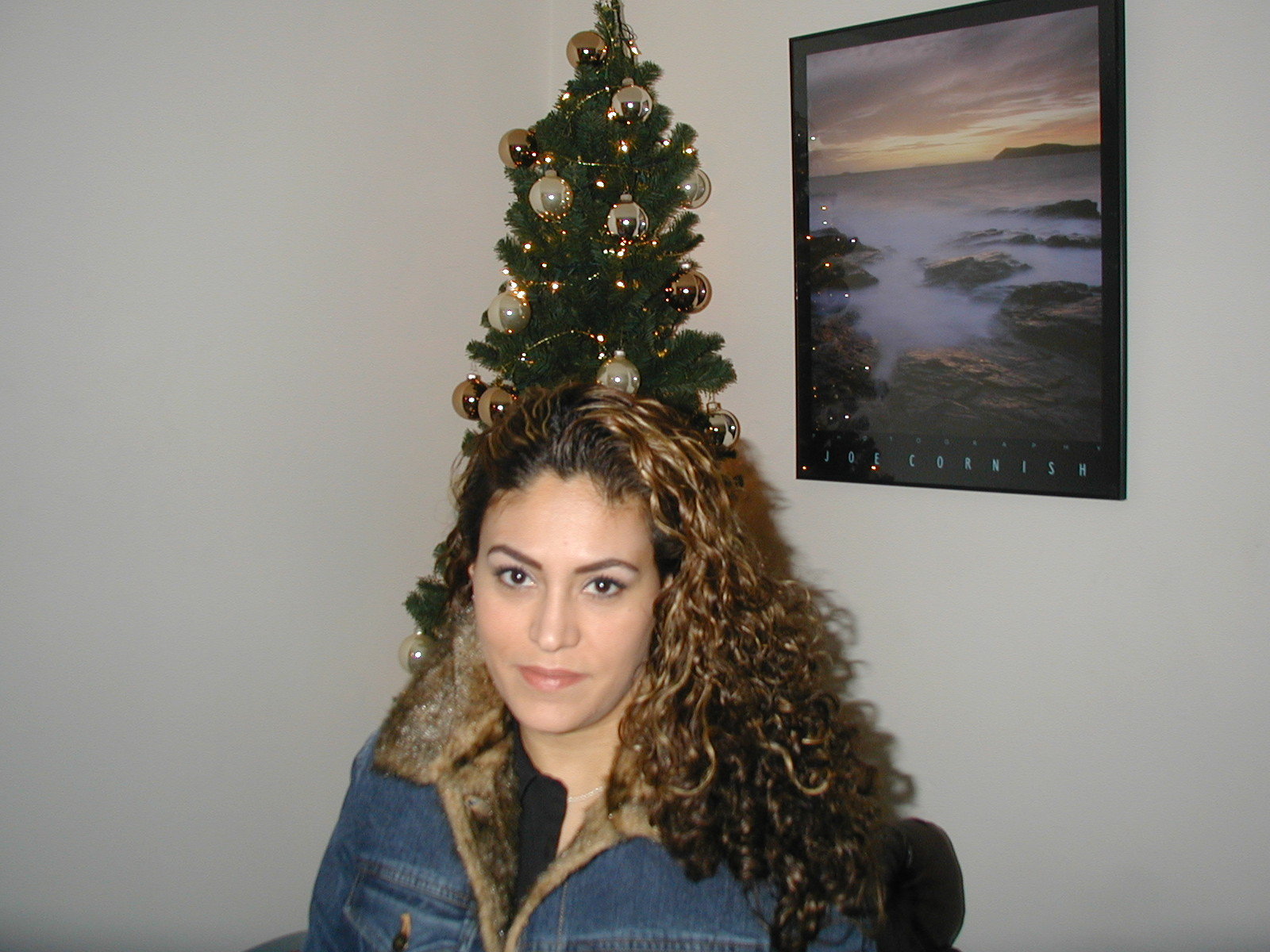 yolanda_xmas_tree_01.jpg