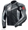 Custom Busa jacket.jpg