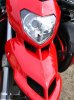 Img_5649_ducati_beak.jpg