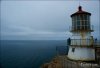 Dsc00771_point_reyes.jpg