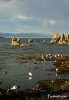 Dsc05380_mono_lake.jpg