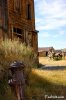 Dsc05444_bodie.jpg