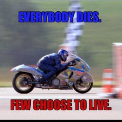 Everybody dies.jpg