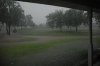 rain july 8 2010 015.jpg