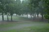 rain july 8 2010 059.jpg