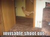 funny-pictures-cat-invisible-shootout.jpg