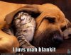 funny-pictures-ear-blanket.jpg