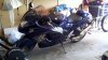 new_busa_652.jpg