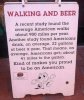 walking and beer.jpg