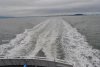 Larkspur Ferry 2012 043.jpg