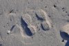 katiefootprintsinthesand.jpg