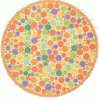 colorblindtest1.gif