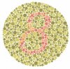 total_color_blind_test_numbers_8.jpg