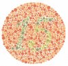 total_color_blind_test_numbers_9.jpg