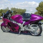 Post-6-22109-purple Busa3