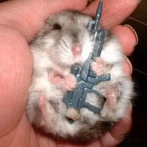 Media 'Post-12-71416-hamster With Gun' in category 'Forum Pics'