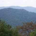 View From The Skyway Overlook 4