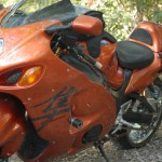 Busa-bash-06 074