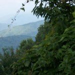 View From The Skyway Overlook 1