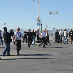 Stampede-09 164 341173