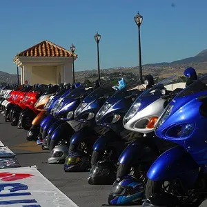 Stampede-09 166 518176