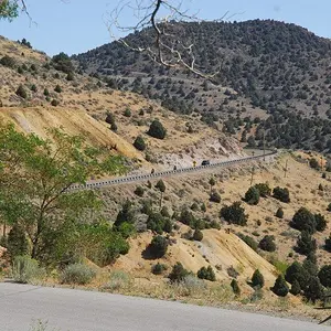 Stampede-09 188 581490