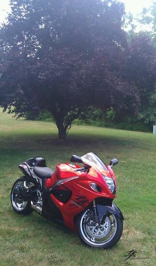 My 08 busa