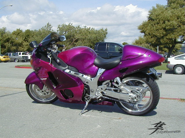 Post-6-22109-purple Busa3