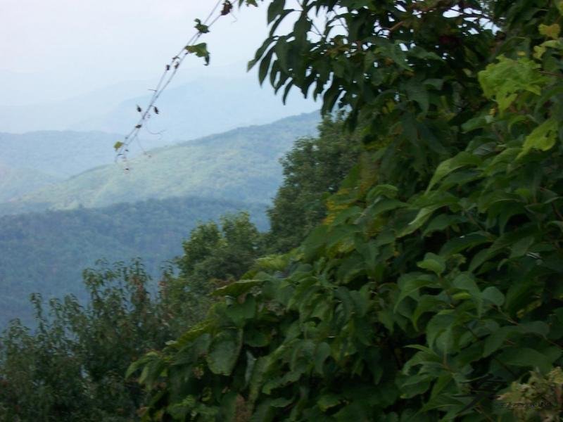 View From The Skyway Overlook 1