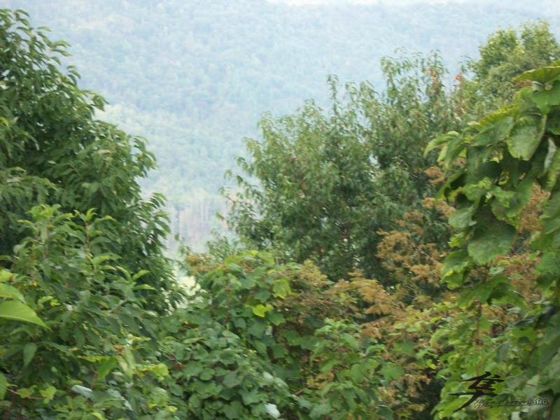 View From The Skyway Overlook 2