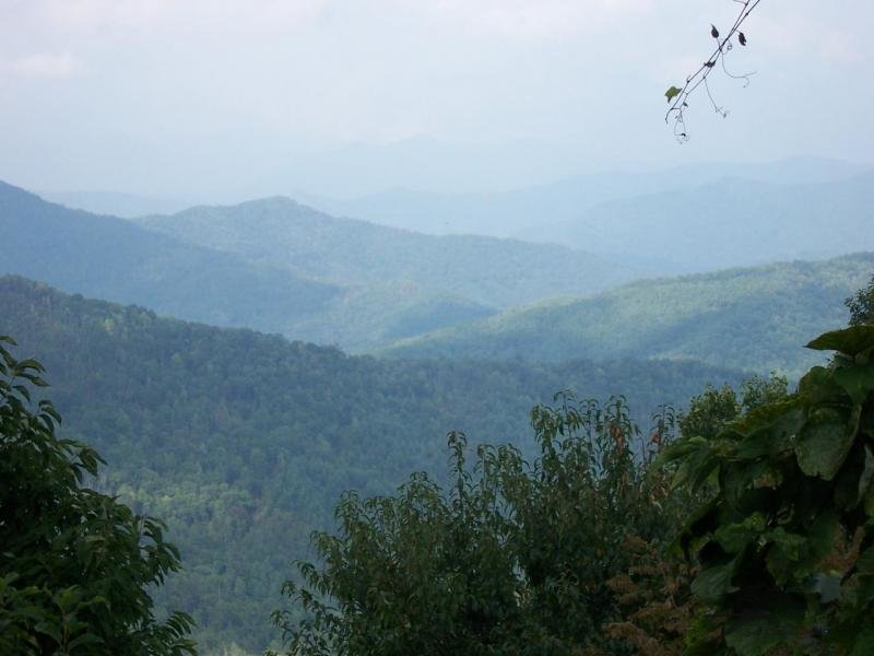 View From The Skyway Overlook 3