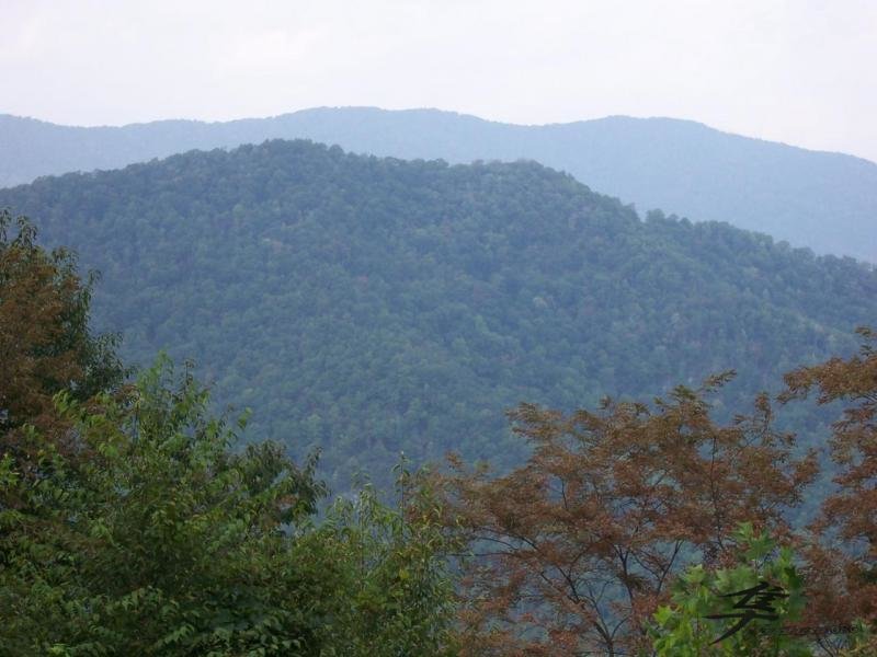 View From The Skyway Overlook 4